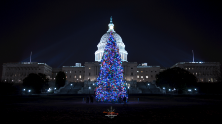 A Christmas tree on the ground of the US Capitol. 2010.